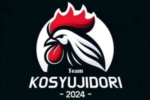 Team KOSYUJIDORI