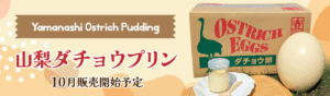 山梨ダチョウプリン