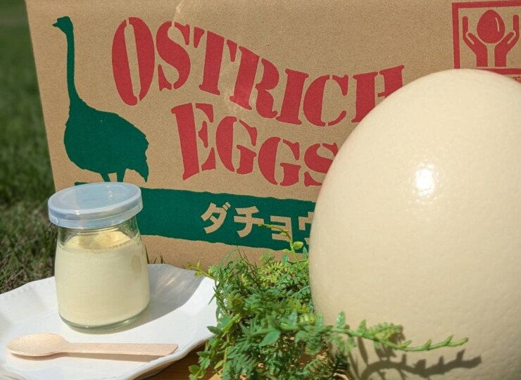 OSTRICH_PUDDING